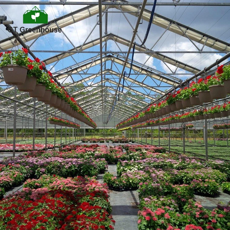 Gt Aframe Tree Green House Automatic Hdpe Film Flat Roof Retractable