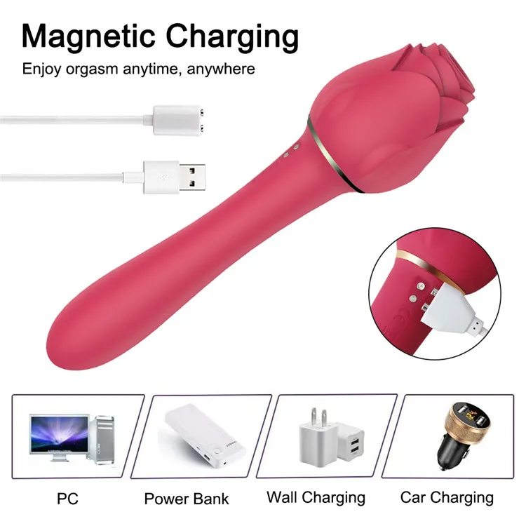 2 in 1 USB-Powered Soft Silicone Rose Vibrator Wand & Clitoral Stimulator Stick Popular New Sex Toy Dildo for Women