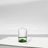 Clear