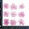 Rose clair 1 sac = 12 PCs