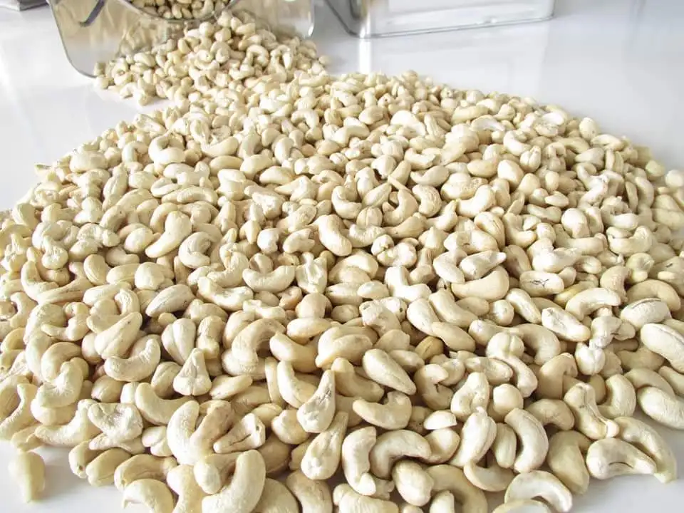 Cashew nut w320 price Kaju w320 cashew single spices raw cashew nuts healthy snacks