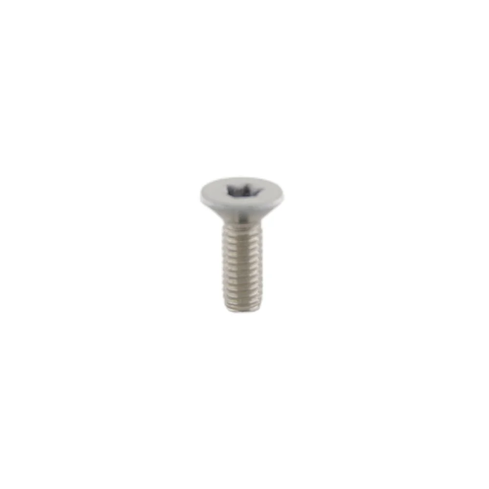 Six-Lobe Flat Head White Painting Screw Stainless Steel Hex Hidden Camera Wall Torx Screw Bolts factory