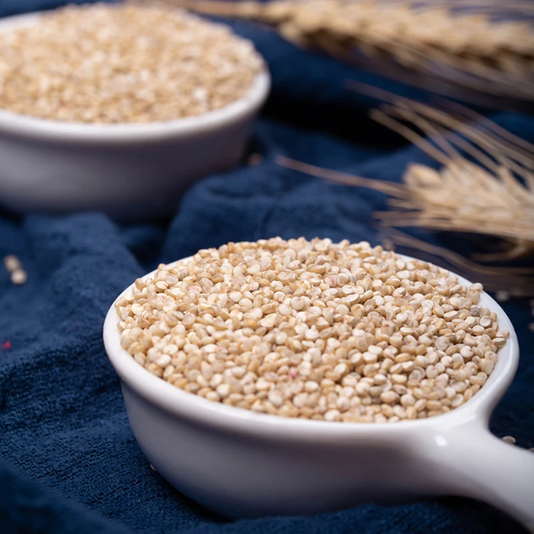 
 Прямая поставка семян тибетского Quinoa Grain органические оптом  