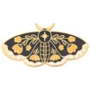 Pi1717