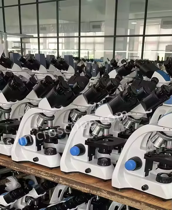 Competitive Price Binocular Biological Microscope for Training