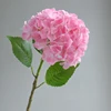 dark pink