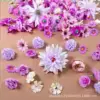100 purple flowers