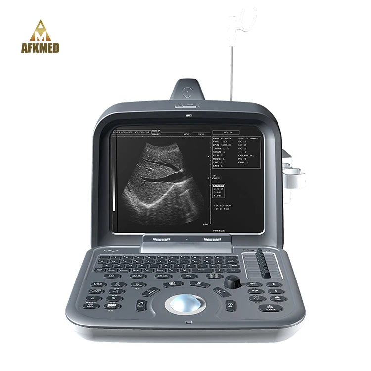 Hot sale 3d veterinary ultrasound dogs cats portable ultrasound medical scan machine