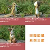 Countryside Squirrel Series (3 designs)