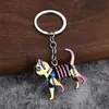 Colorful cat