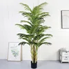 2.1-meter-tall flame palm tree
