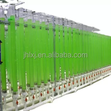 Microalgae Photobioreactor Tubular Reactor for Algae