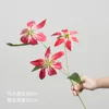 3-Headed Flame Lily - Red