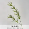 Herbe de bambou verte