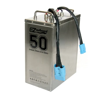 Promotion! 48V30Ah/50Ah Rechargeable LiFePO4 Li-ion Lithium Battery Packs for Electric car outboard motor wheelchair,