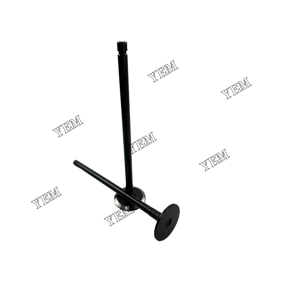 D6CB Intake Valve for Hyundai Engine Parts Stock Complete 5