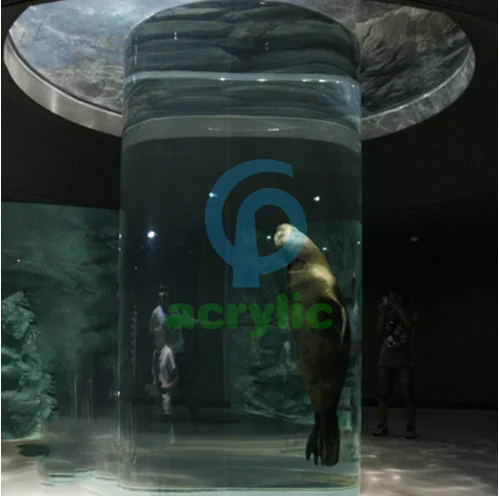 Acrylic Fish Aquarium with Picture Frame