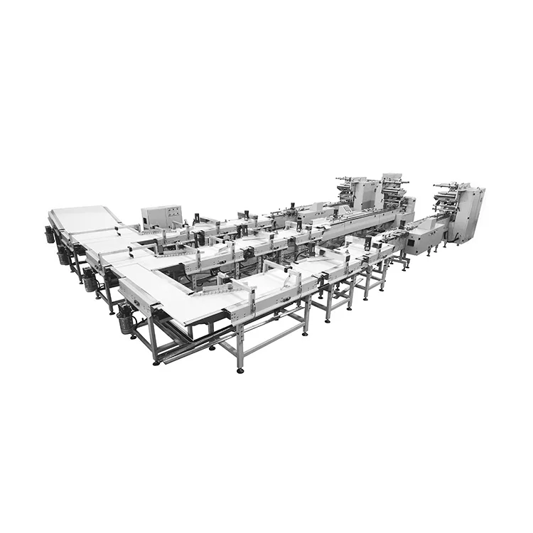 Pizza Automation Turnkey Project Packing Line