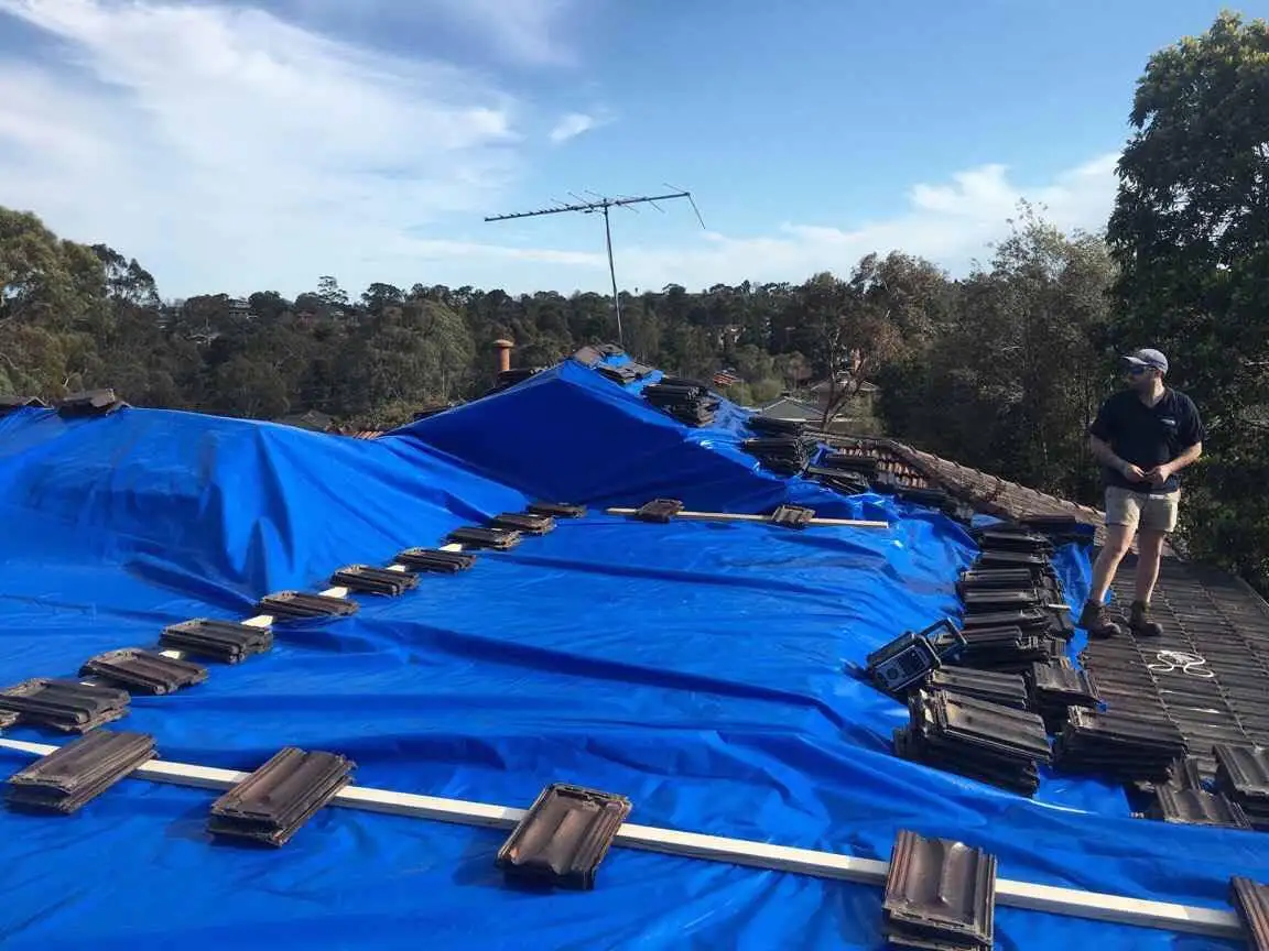 Blue Color Factory Tarpaulin Covers  Tarps Heavy Duty Waterproof Pe Tarps SHEET Brazil  for Outdoor.