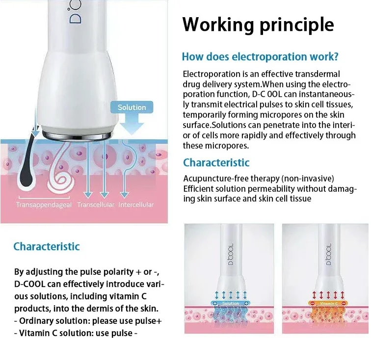 W新しい2023 Dcoolポータブルクールホット肌を引き締める抗腫れ