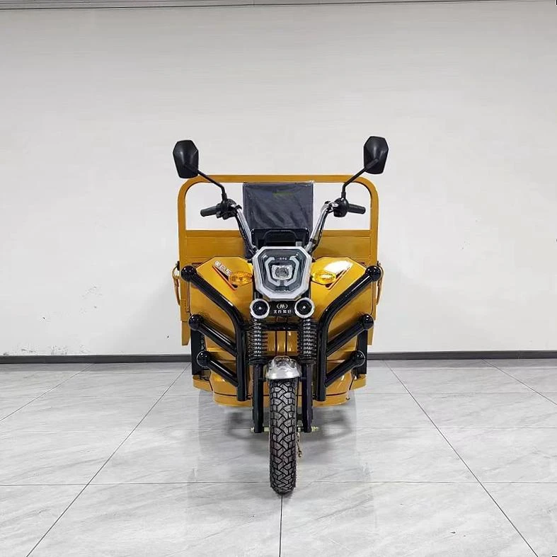 1500W Electric Cargo Tricycles - Durable & Efficient