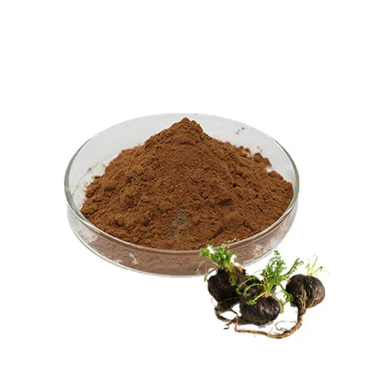 Best Quality Maca Root Extract Powder for Men Energy Boost Organic Maca Powder