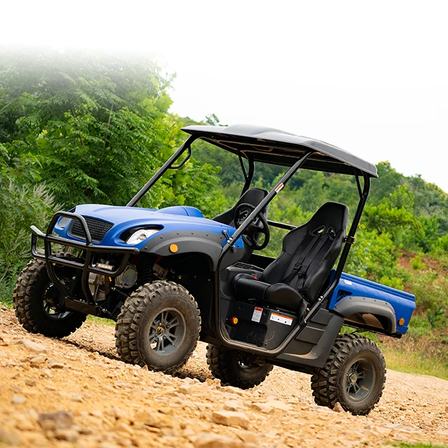 4WD Electric UTV with Automatic Transmission COC Approval for Europe ...