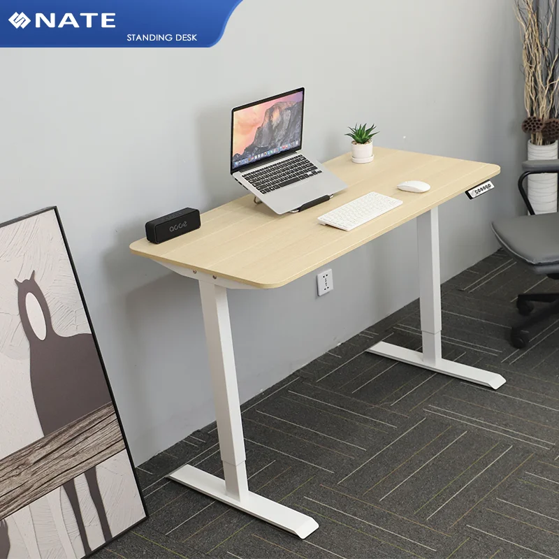 Double-Beam Sit Stand up Computer Desk 70kg Electric Adjustable Height Desk 2 Legs Assembly Table Electronic Standing Desk