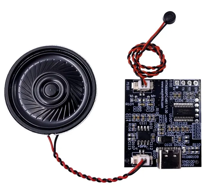 WTK6900FC Voice Recognition Chip - Multilingual & Self-learning