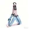pink+blue