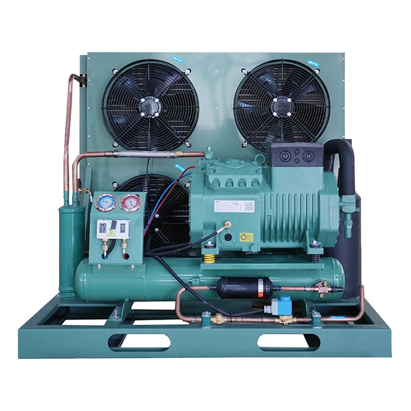 New Condition Bitzer Inverter Condensing Unit Semi Hermetic Refrigeration Compressors Factory Shop Cold Room Core Motor