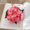 Style Pink