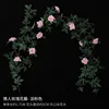 Pale pink Valentine's rose vine