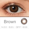 MA016 Brown
