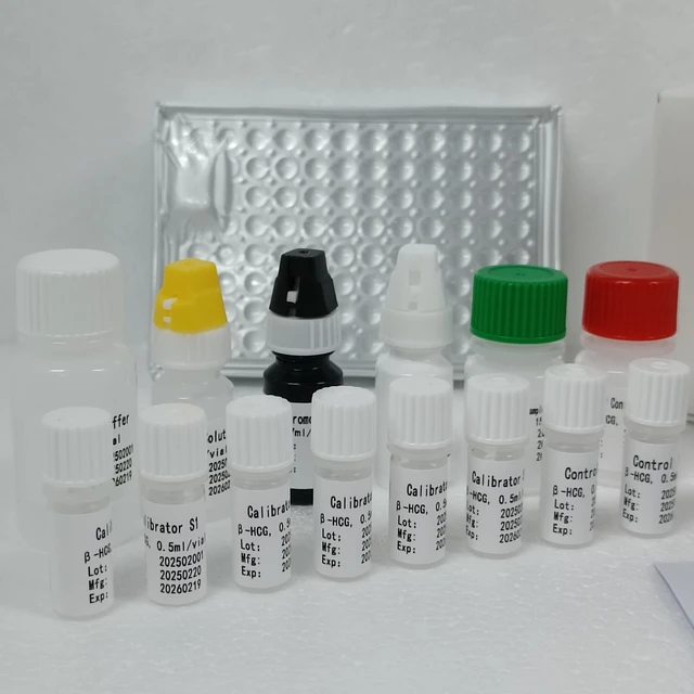 B-human Chorionic Gonadotropin ELISA Test Kit