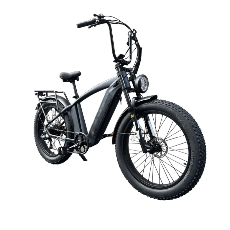 Hot Selling High Quality Strong Rear Carrier Kenda Fat Tyre Mtb  Ebike Electric Bicycle Wheel Fat Tire E Bike