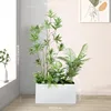 Q06 does not include a flower box.