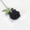 Round rose black stem