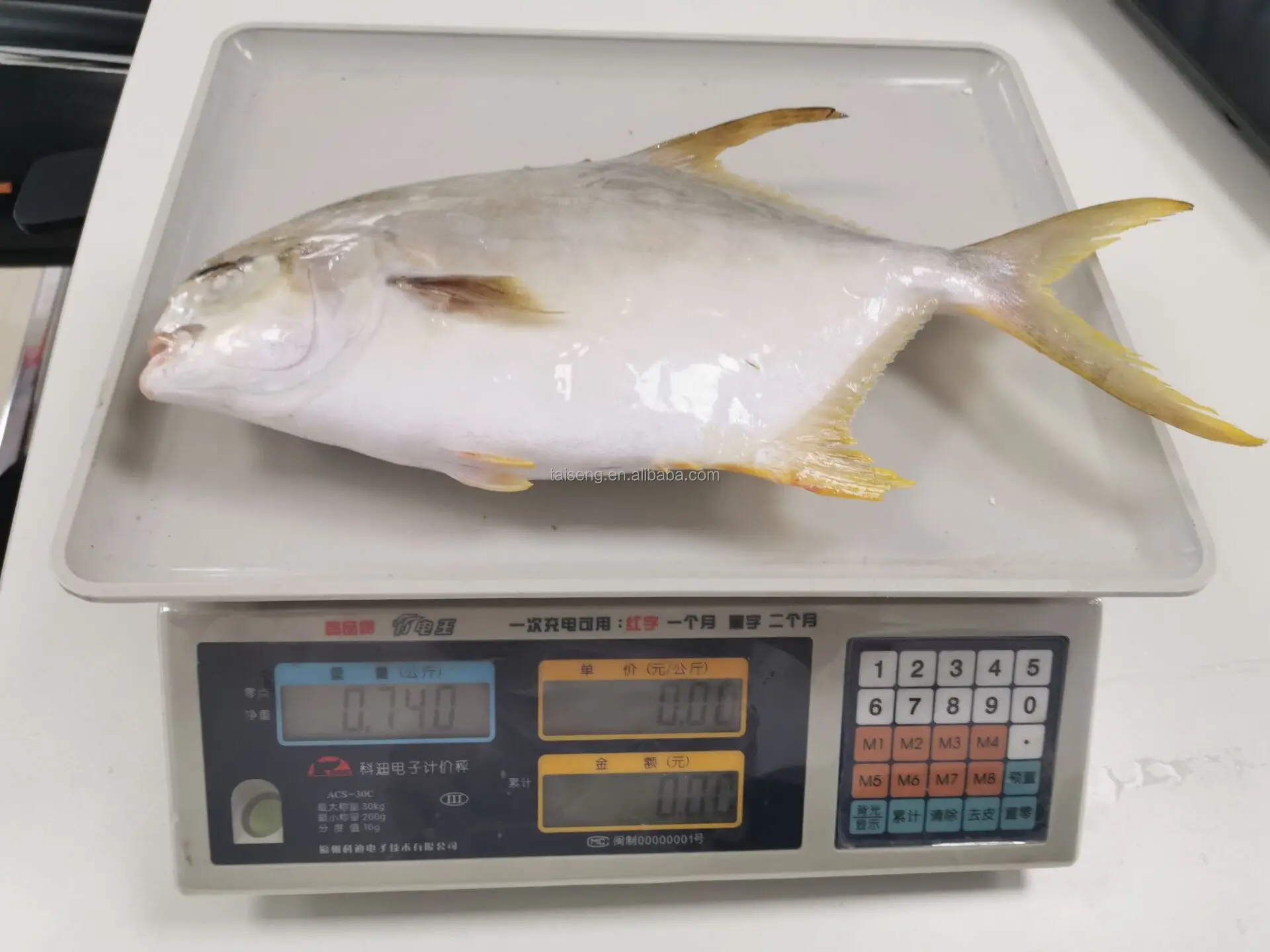 Farm Raised Iqf Iwp Frozen Golden Pompano /pomfret Fish On Sale Buy