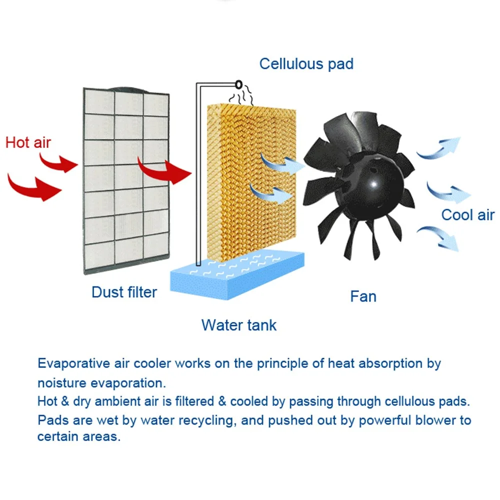 Direct Adiabatic Cooling System Quiet Central Spot Water Cooler Evaporative  Air Conditioner for Industrial Buildings