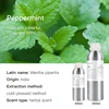 Peppermint (India)