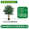 1.2m solid wood multi-stemmed olive tree bonsai (deposit link)