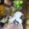 Turtle stretching