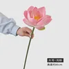 Large Light Pink Lotus