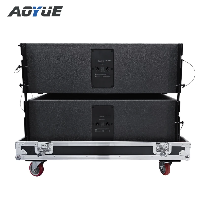 Aoyue KA212 Dual Passive 12 Inch Line Array Speaker - 2 Year