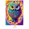 Multicolor-A05