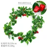 Red and green pepper vines (small fruit)