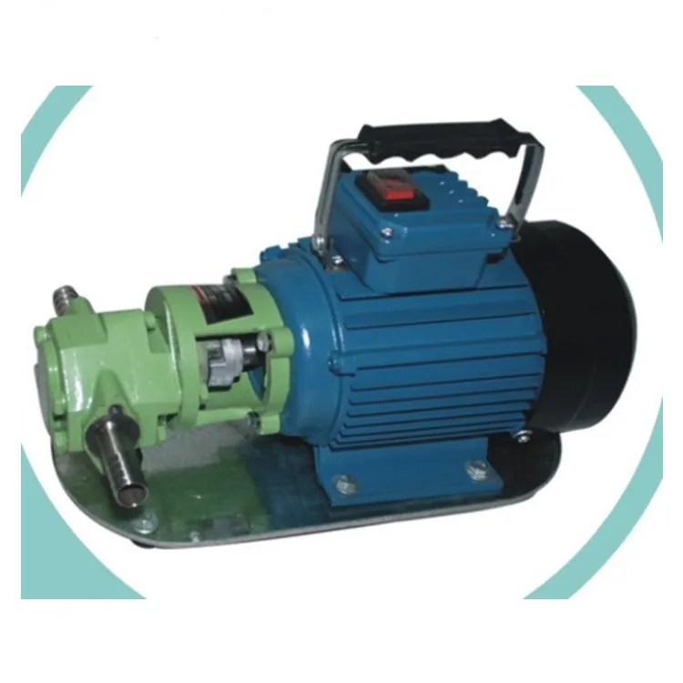 Wcb Light Type Stainless Steel Portable Diesel Fuel Pump Oil Transfer