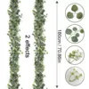 Eucalipto e Gypsophila