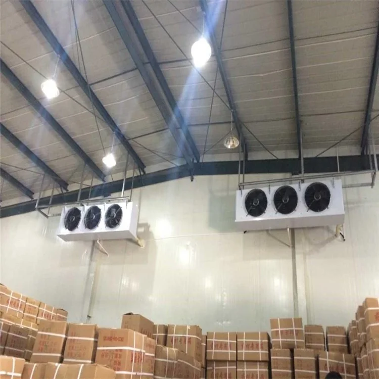 Mushroom Growing Cold Room Freezer Cold Room Equipment Cold Room Chambre Froide